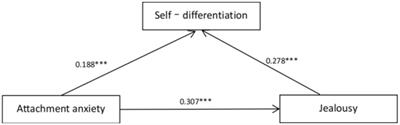 The influence of insecure attachment on undergraduates’ jealousy: the mediating effect of self-differentiation
